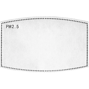 Replacement PM 2.5 Filter - 5 Pack FILTER-01
