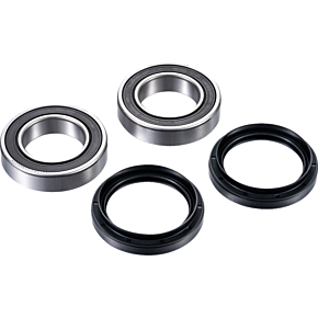 Axle Bearing Kit - Rear ARA-Y-010