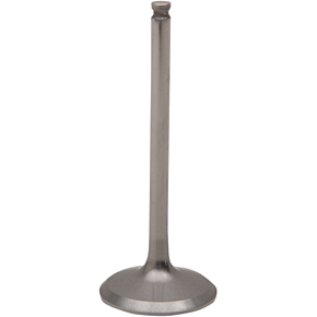 Exhaust Valve DW-YFZ450R2EV03
