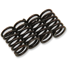 Clutch Spring Kit 501-40-04058