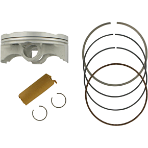 Piston Kit 01.1338.B