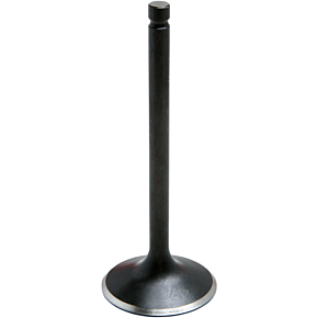 Exhaust Valve 80-80014