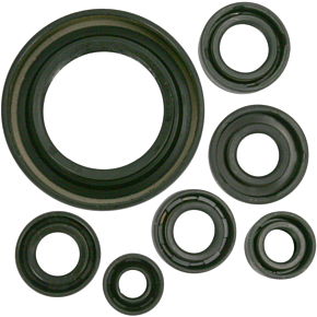 Moose Racing Motor Seals MSE Honda