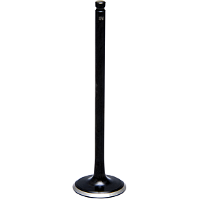 Intake Valve 40-40920