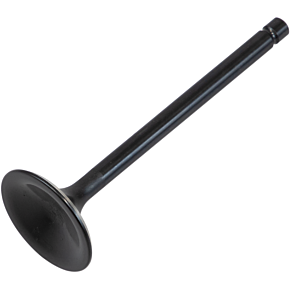 Exhaust Valve 80-80063