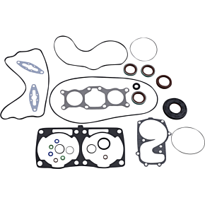 Gasket Kit with Oil Seals - Ski Doo 600 ETEC 34.5613