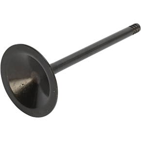 Kibblewhite Intake Valve - 1200 XL 20-20260