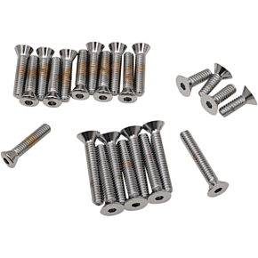 Socket Head Side Cover Bolts - FL '65-'69 DS-190756