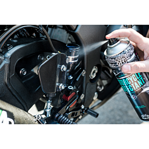Protectant - 16.9 U.S. fl oz. - Aerosol 608US