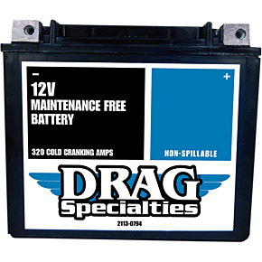 AGM Battery - YTX20HL FT 2113-0794