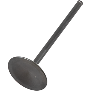Intake Valve 82-82155