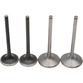 Moose Racing Valve Kit