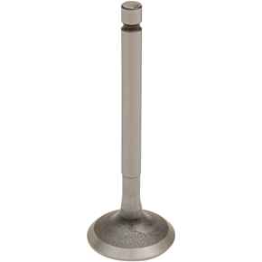 Exhaust Valve 28.2200-1