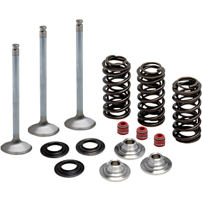 Valve Spring Kit 80-80950