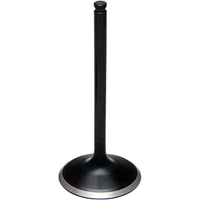 Intake Valve - LTR450 - Standard 60-60310