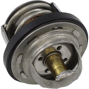 Thermostat - Polaris 16-3002