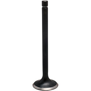 Intake Valve 30-30073