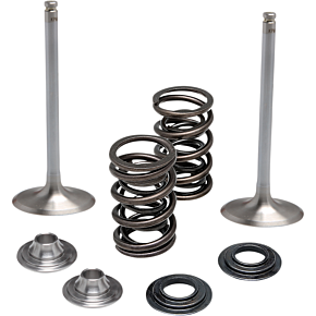 Valve Kit - Intake 40-41650
