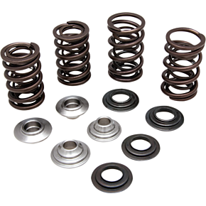 Valve Spring Kit 60-60280