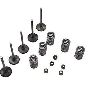 Valve Kit SVKB2424