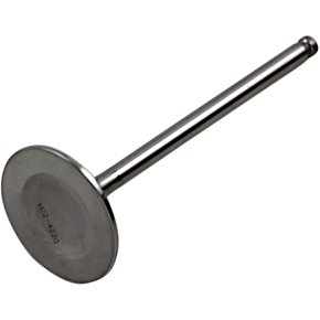Intake Valve DWYFZ450R21IV03