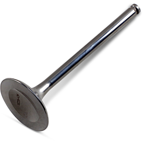 Exhaust Valve DW-LTR4501EV11