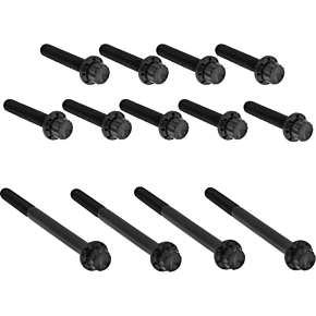 Bolt Kit - Primary Cover - Titanium - 12-Point - Twin Cam - Black 300-990