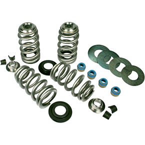Endurance Beehive Valve Springs 1101