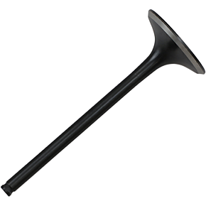 Exhaust Valve 30-30223