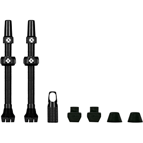 Tubeless Valve Stems - Black 20420