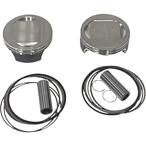 Piston Kit RP301-119W