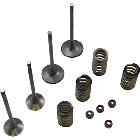 Wiseco Valve Kit SVKB6334