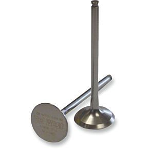 Exhaust Valve DWLTR4501EV11HF