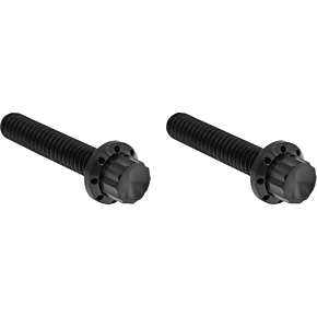 Bolt Kit - Hydraulic Clutch - Titanium - 12-Point - M8/Twin Cam - Black 300-707