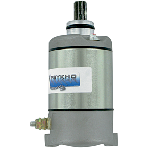 Starter - 4 Stroke 18645N