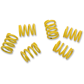 Clutch Spring Kit 501-36-06126