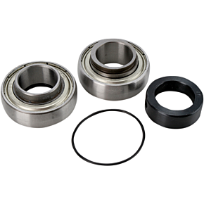 ALL BALLS Chain Case Bearing and Seal Kit - 14-1046