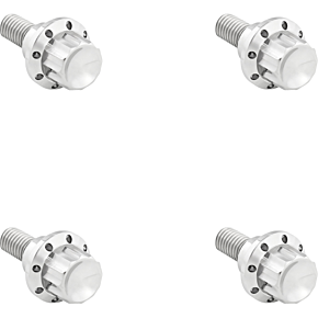 Bolt Kit - Windshield - 12-Point - Titanium - Silver 300-809