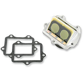 Rad Valve Reed Cage Assembly - Suzuki RAD-24J