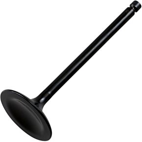 Intake Valve HC00028