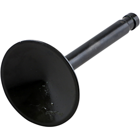 Intake Valve 20-4194