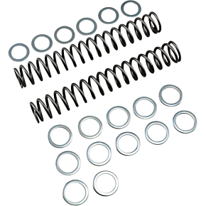 Race Tech Fork Springs - 0.90 kg/mm