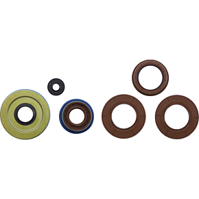 Oil Seal Set 0935-1200