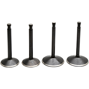 Valve Kit - Sportster 20-22300