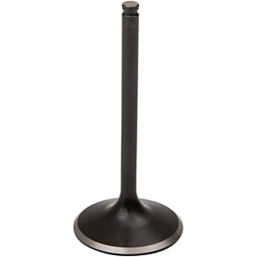 Exhaust Valve 40-40656