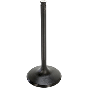 Intake Valve 40-40562
