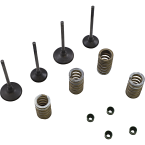Valve Kit SVKB3338
