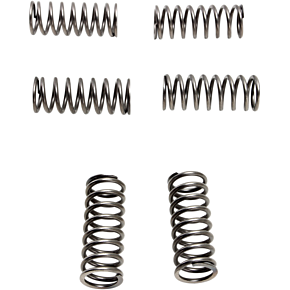 EBC Brakes Clutch Springs - 6 pcs. CSK198