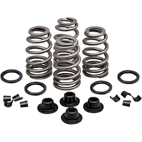Spring Kit - .660" - Evolution/Twin Cam 20-21500