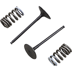 Intake Valve and Spring Kit 28.SIS3338-2